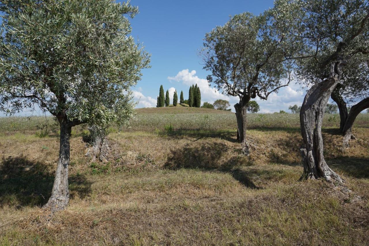 Agriturismo Cheloni Guasticce Extérieur photo