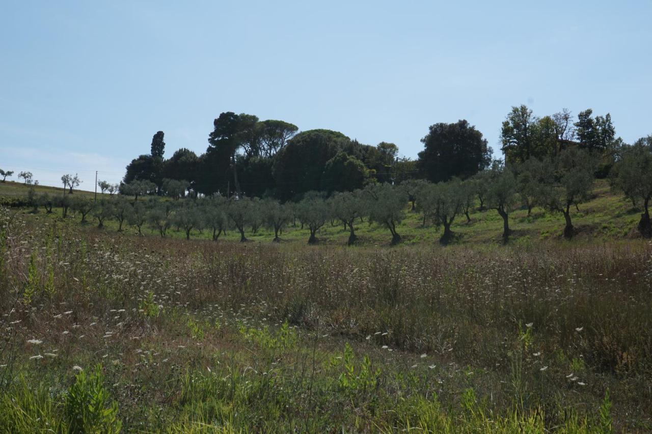 Agriturismo Cheloni Guasticce Extérieur photo